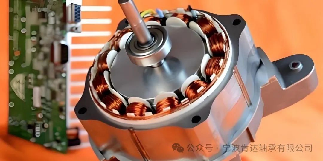 Cojinete de motor el&eacute;ctrico 