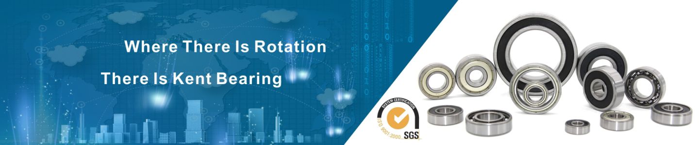 rodamiento de bolas 1